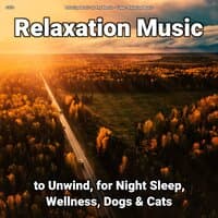 zZZz Relaxation Music to Unwind, for Night Sleep, Wellness, Dogs & Cats