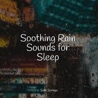 Soothing Rain Sounds for Sleep