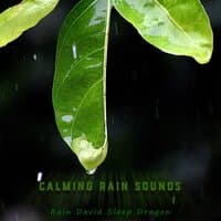 Calming Rain Sounds