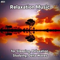 #01 Relaxation Music for Sleeping, Relaxation, Studying, Delta Waves