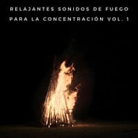 Relajantes Sonidos De Fuego Para La Concentración Vol. 1