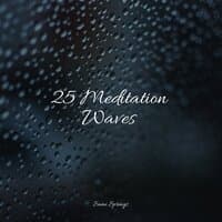 25 Meditation Waves