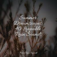 Summer Dreamscapes: 40 Loopable Rain Sounds