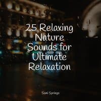 25 Relaxing Nature Sounds for Ultimate Relaxation