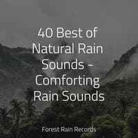 40 Best of Natural Rain Sounds - Comforting Rain Sounds