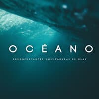 Océano: Reconfortantes Salpicaduras De Olas