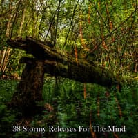 38 Stormy Releases For The Mind