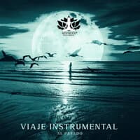 Viaje Instrumental al Pasado