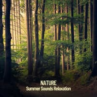 Nature Sounds: Nature Sounds for Relaxation