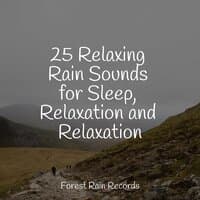 25 Relaxing Rain Sounds for Sleep, Relaxation and Relaxation