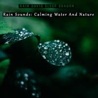 Rain Sounds Calming Water and Nature