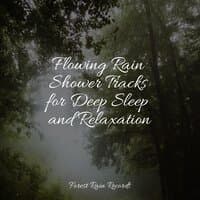 Flowing Rain Shower Tracks for Deep Sleep and Relaxation