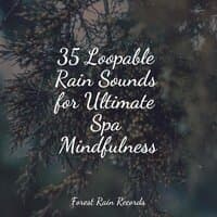 35 Loopable Rain Sounds for Ultimate Spa Mindfulness