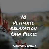 40 Ultimate Relaxation Rain Pieces