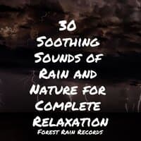 30 Soothing Sounds of Rain and Nature for Complete Relaxation