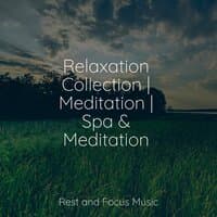 Relaxation Collection | Meditation | Spa & Meditation