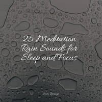 25 Meditation Rain Sounds for Sleep and Focus