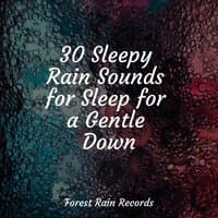 30 Sleepy Rain Sounds for Sleep for a Gentle Down