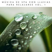 Música De Spa Con Lluvias Para Relajarse Vol. 1