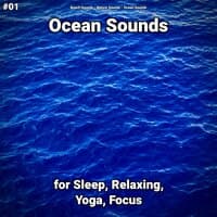 #01 Ocean Sounds for Sleep, Relaxing, Yoga, Focus