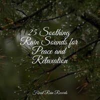 25 Soothing Rain Sounds for Peace and Relaxation