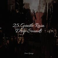 25 Gentle Rain Drop Sounds