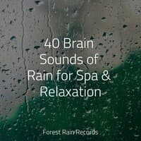 40 Brain Sounds of Rain for Spa & Relaxation