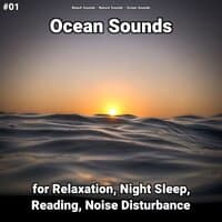 #01 Ocean Sounds for Relaxation, Night Sleep, Reading, Noise Disturbance