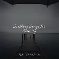 Soothing Songs for Serenity