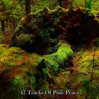 47 Tracks Of Pure Peace