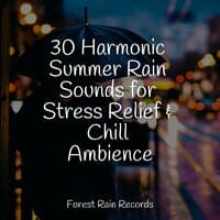 30 Harmonic Summer Rain Sounds for Stress Relief & Chill Ambience