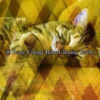 46 Peace Cottage Baby Calming Tracks