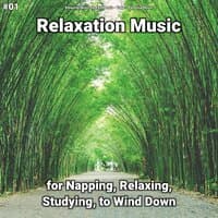 #01 Relaxation Music for Napping, Relaxing, Studying, to Wind Down