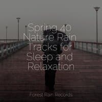 Spring 40 Nature Rain Tracks for Sleep and Relaxation