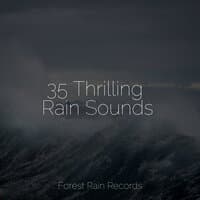 35 Thrilling Rain Sounds