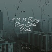 #25 25 Rainy Day Theta Beats