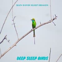 Deep Sleep Birds