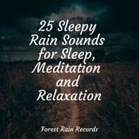 25 Sleepy Rain Sounds for Sleep, Meditation and Relaxation