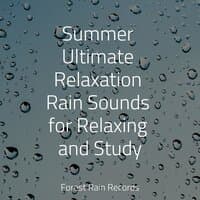 Summer Ultimate Relaxation Rain Sounds for Relaxing and Study