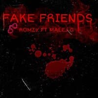 Fake Friends