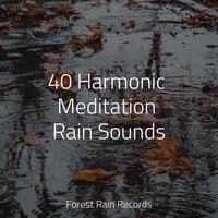 40 Harmonic Meditation Rain Sounds