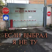 Если выбрал я не ту