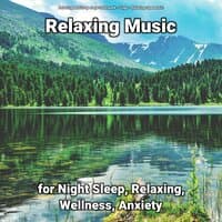 Relaxing Music for Night Sleep, Relaxing, Wellness, Anxiety