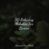 30 Relaxing Melodies for Lovers