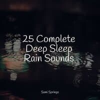 25 Complete Deep Sleep Rain Sounds