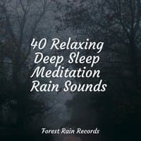 40 Relaxing Deep Sleep Meditation Rain Sounds