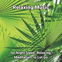 Relaxing Music for Night Sleep, Relaxing, Meditation, to Let Go