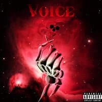 Voice