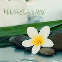 Relaxation Day: Progressive Relaxation Techniques, Tender Bath Spa, 1HSpaMusic for Hotel Spa 2022