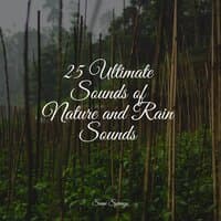 25 Ultimate Sounds of Nature and Rain Sounds